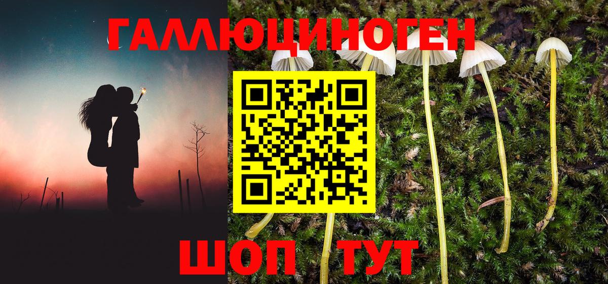 Усинск  Галлюциногенные грибы мухоморы  Вход с VPN 