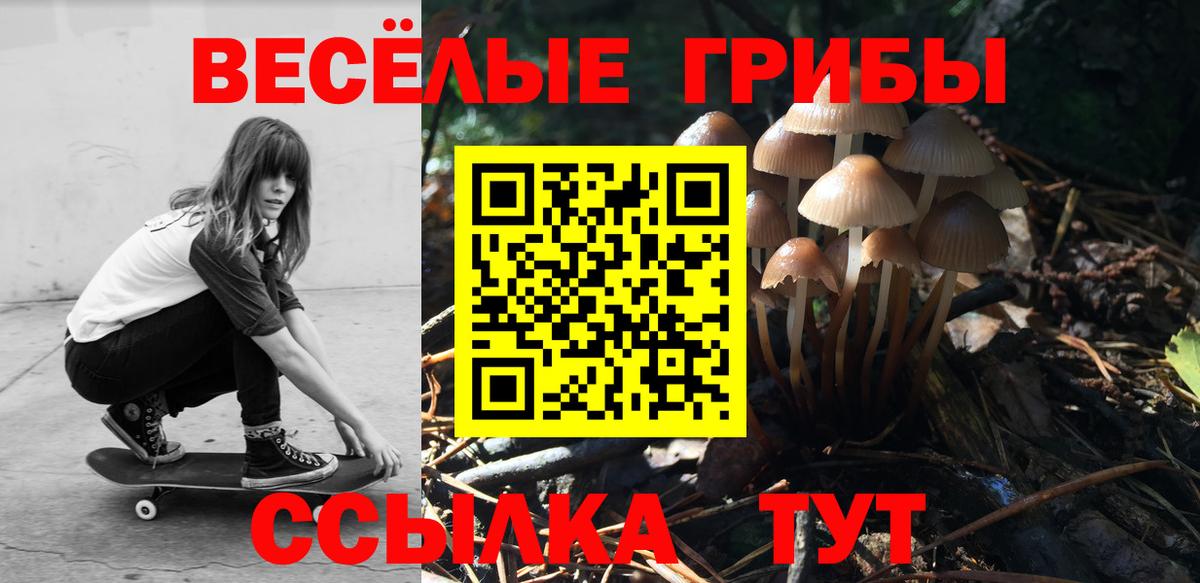 Псилоцибиновые грибы GOLDEN TEACHER Усинск